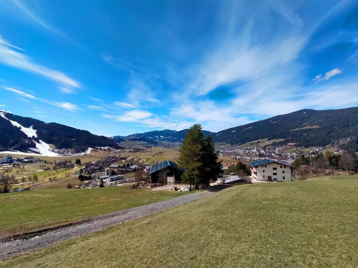 Sauschneidhof - Radstadt Zewnętrze zdjęcie