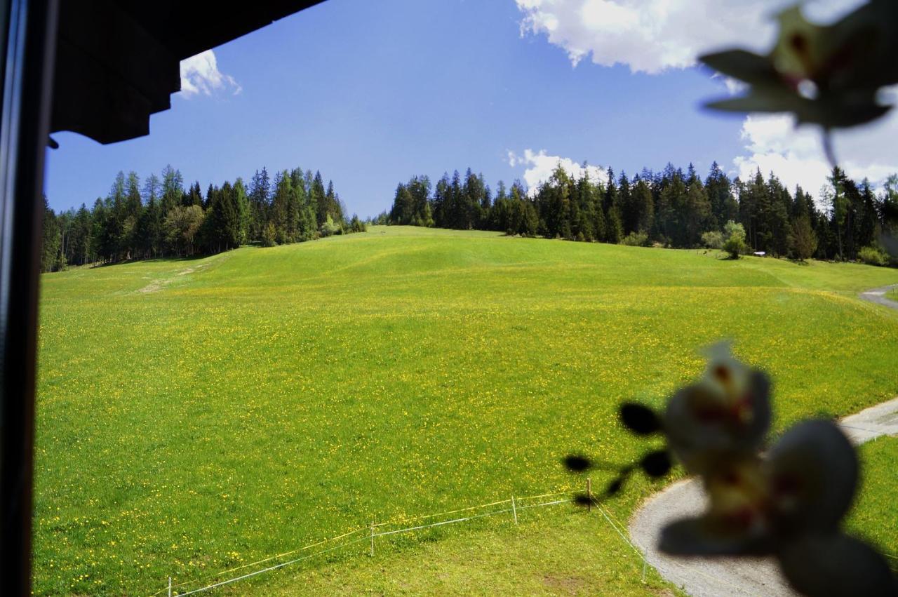Sauschneidhof - Radstadt Zewnętrze zdjęcie